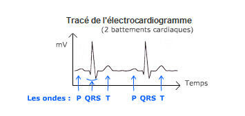 ECG - cardiac cycle