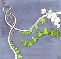 EMF effects on keratinocytes: nucleus, DNA, RNA