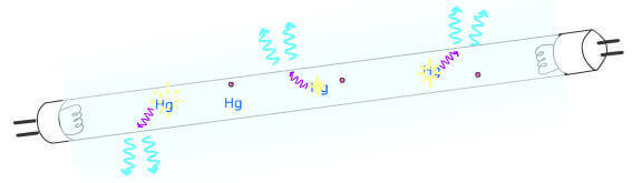 Absorption of UV radiation by the fluorescent material covering the inner surface of the tube and transformation into light