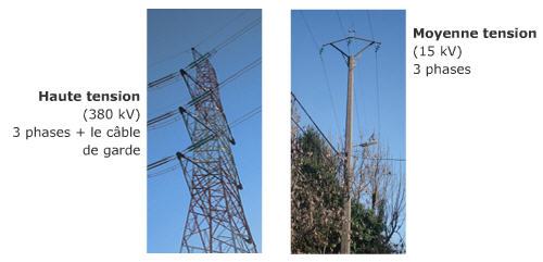 Three-phase transport