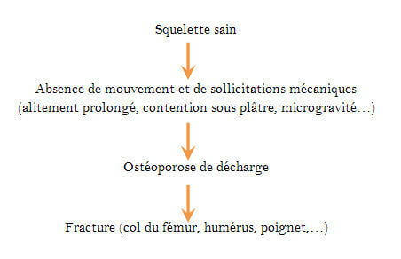 Effects of EMF on bone: osteoporosis and osteogenesis