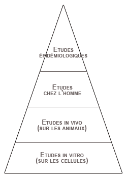 Pyramid of studies