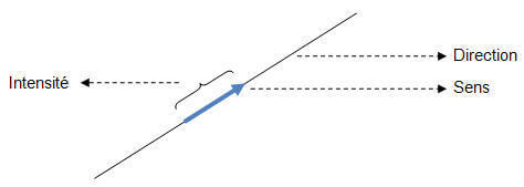 Vector field